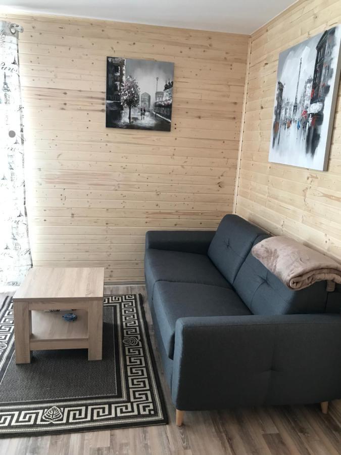 Вилла Casute La Munte Рышнов Экстерьер фото